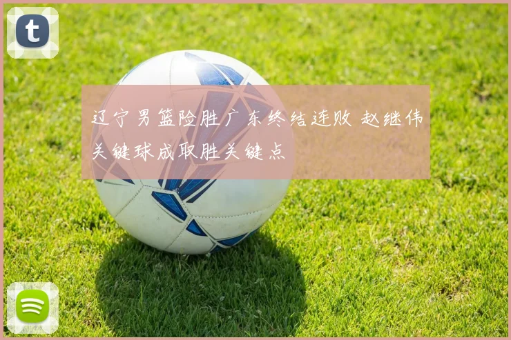 辽宁男篮险胜广东终结连败 赵继伟关键球成取胜关键点